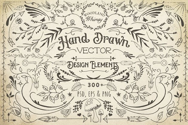 手绘植物设计元素插画 Hand Drawn Vector Design Elements