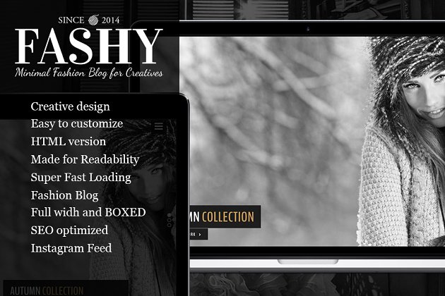 时尚博客WordPress主题 Fashy – Fashion Blog WordPress Theme
