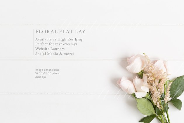 花卉样机模型 Floral flatlay stock photo – roses