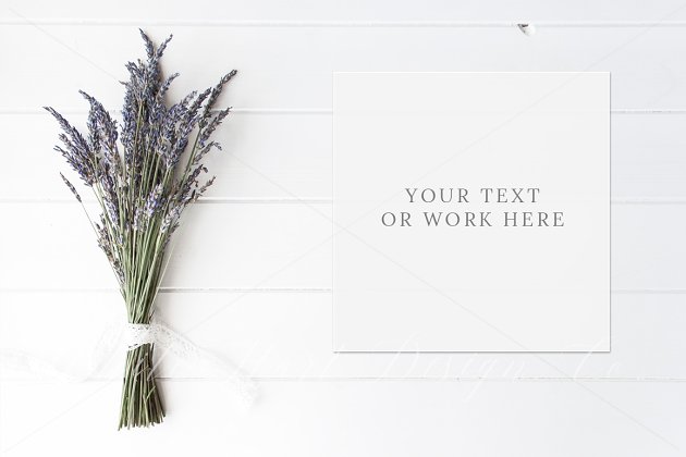 简约的照片展示样机 Styled stock photo – lavender mockup