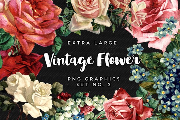 经典油画质感花卉图案 Large Vintage Flower Graphics No. 2