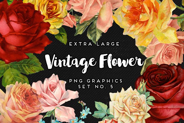 经典复古花卉图形 Large Vintage Flower Graphics No. 5
