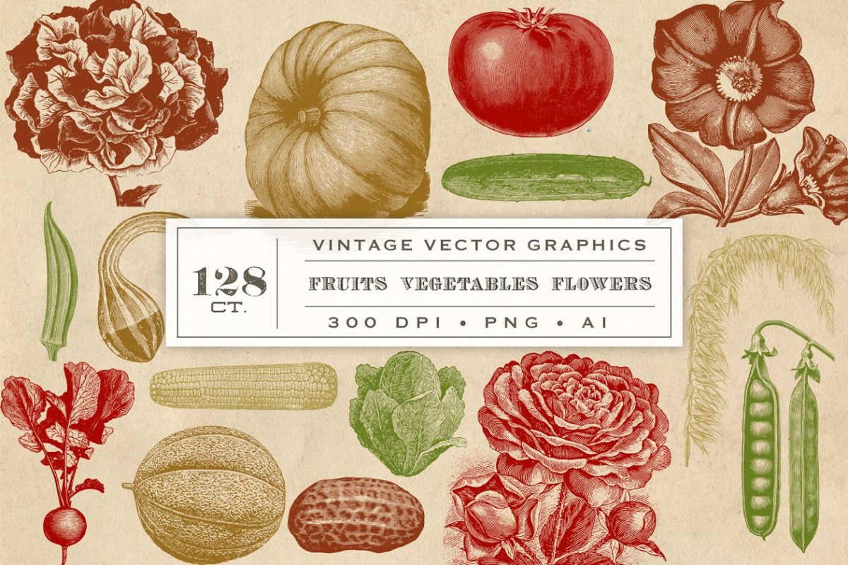 复古蔬果花卉图形 Vintage Fruit Vegetables & Flowers