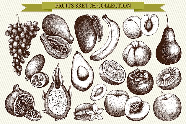 水果插图矢量集 Vector Fruits Illustrations Set