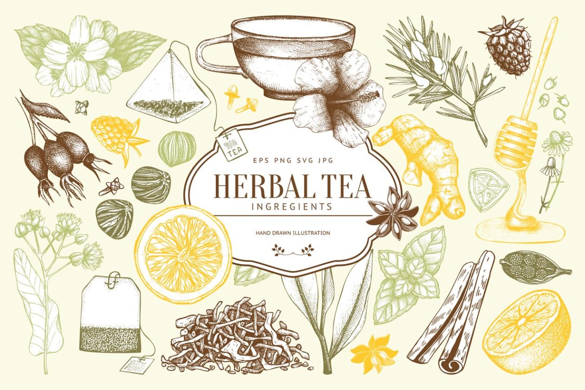 矢量草本插画集 Vector Herbal Tea Ingredients Set