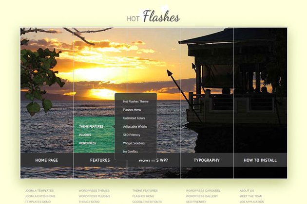 服务应用产品WordPress主题模版 Hot Flashes