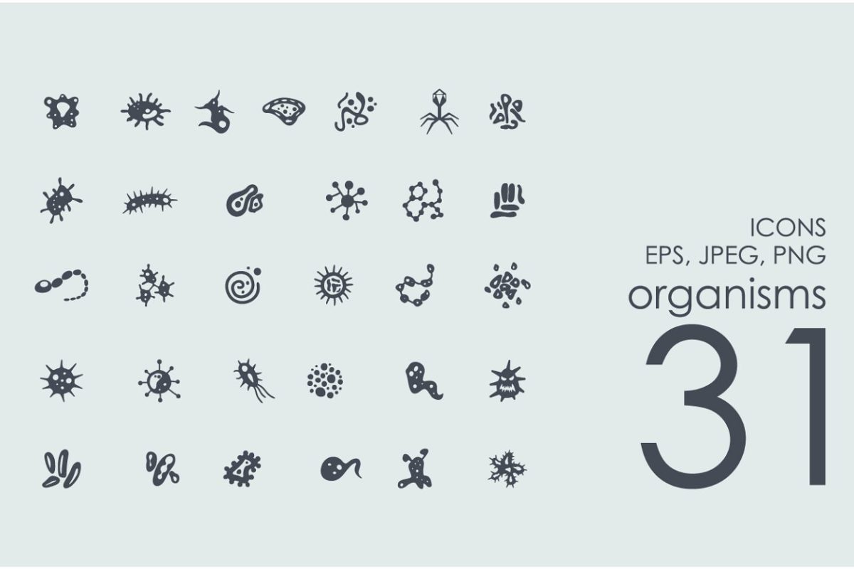 生物细菌图标素材 31 organisms icons