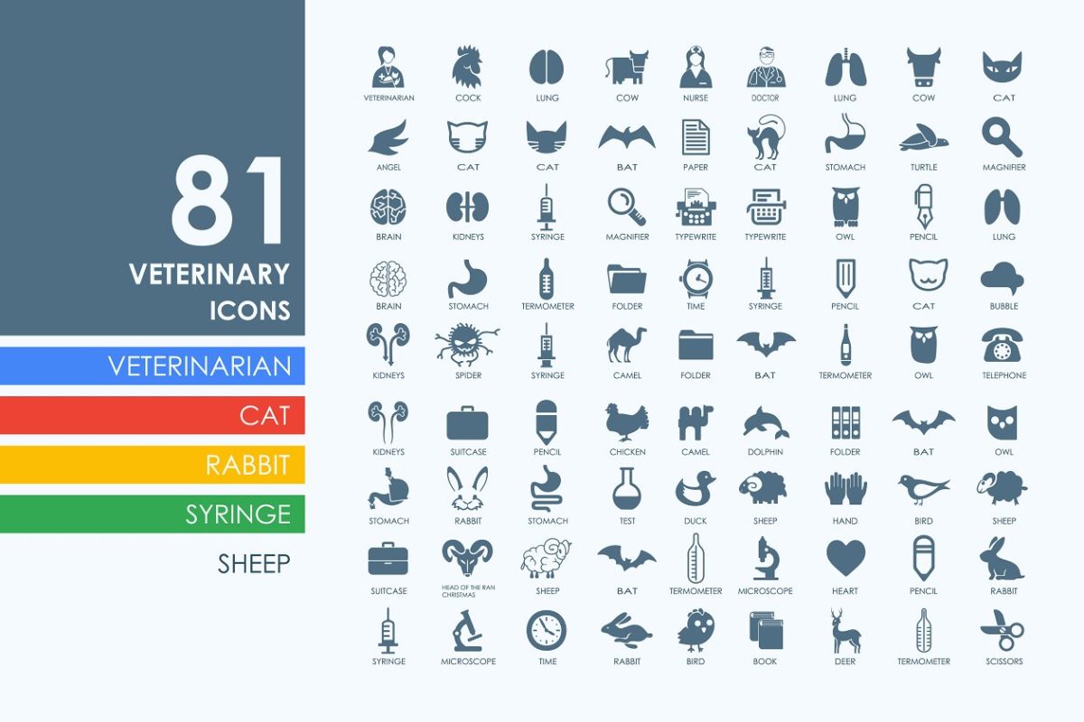 81个兽医图标 81 veterinary icons