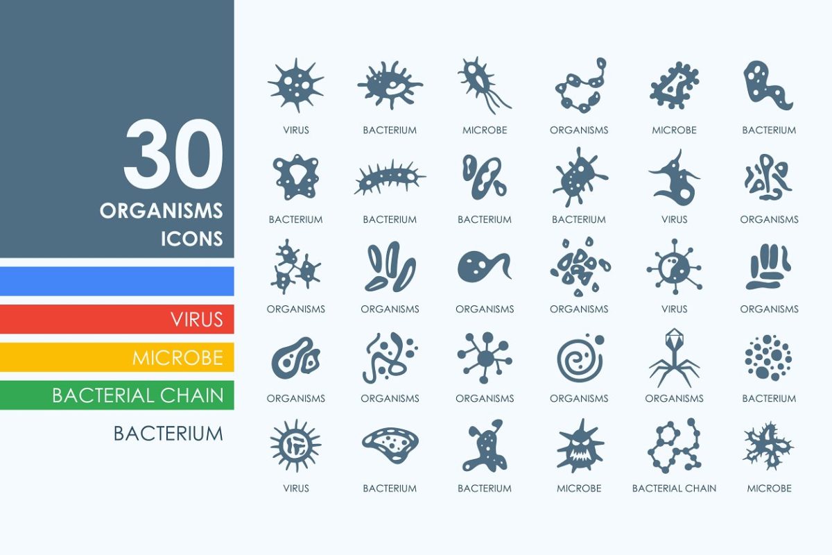 生物细菌图标素材 30 Organisms icons