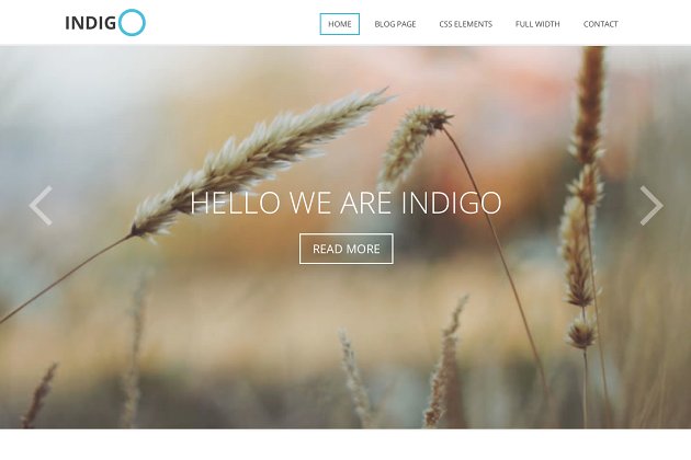 博客皮肤网站模板 Indigo – Multi-Purpose Theme