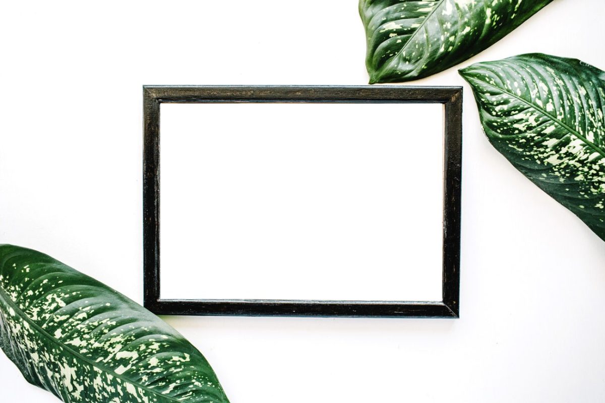 绿叶画框样机 Photo frame