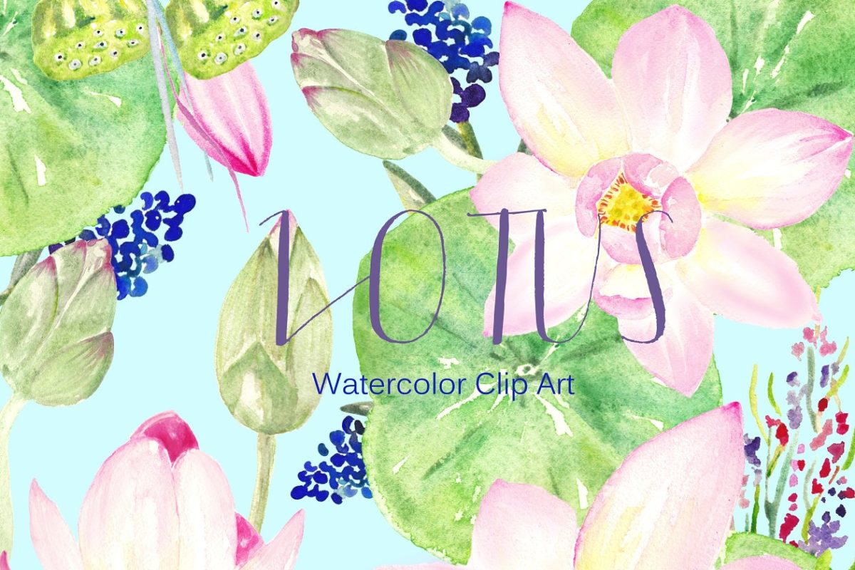 水池荷花素材插画 Pink Lotus. Watercolor Clipart.