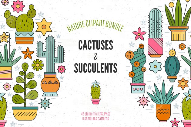 仙人掌图案插画 Succulent Clipart & Patterns Bundle