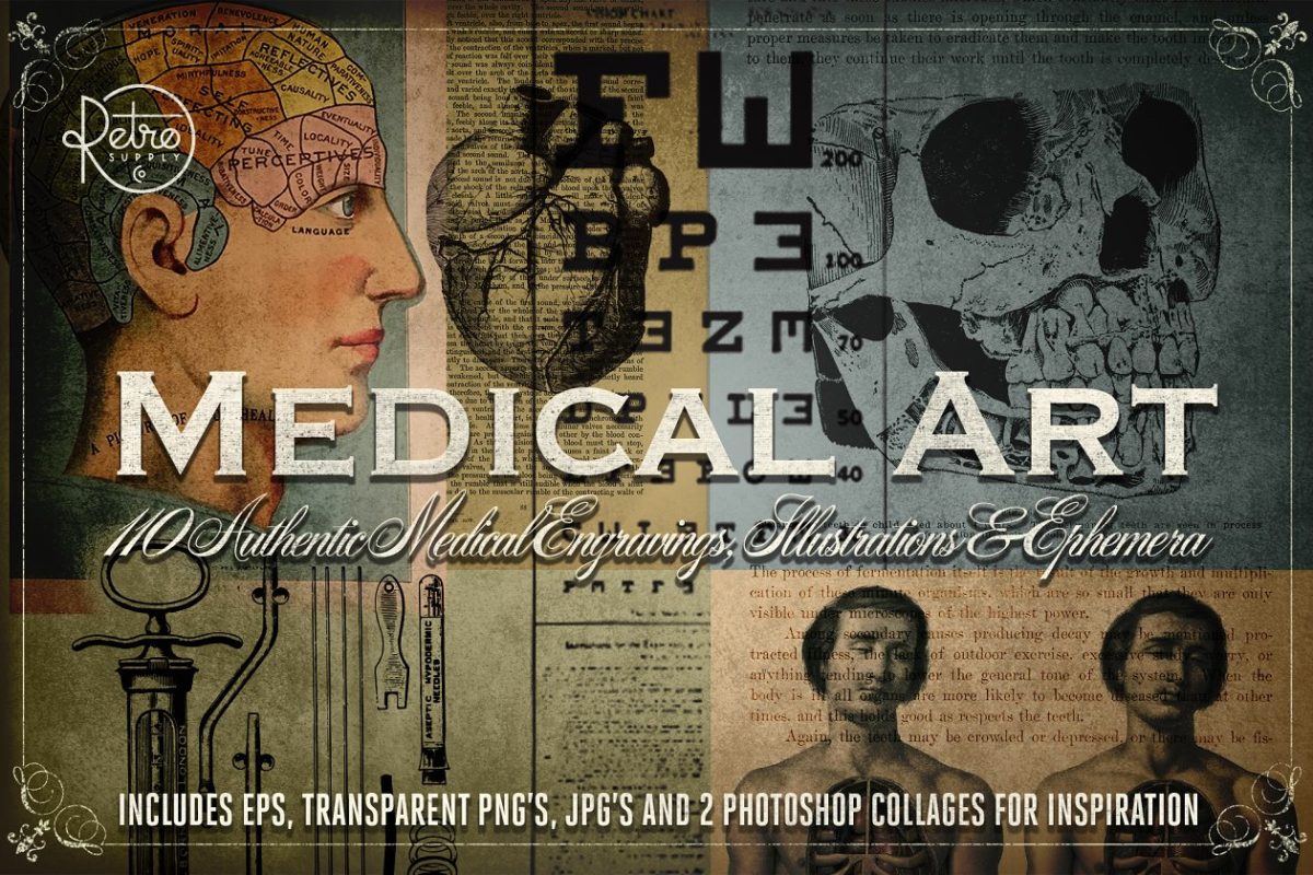 解刨医学插图素材 Medical Art | 110 EPS, PNG and JPG’s