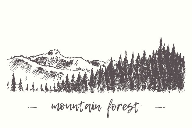 山上的冷杉林素描插画 Fir forest in the mountains