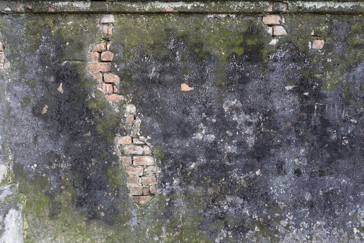 旧抹灰石砌砖墙 Old Plastered Stone Brick Wall