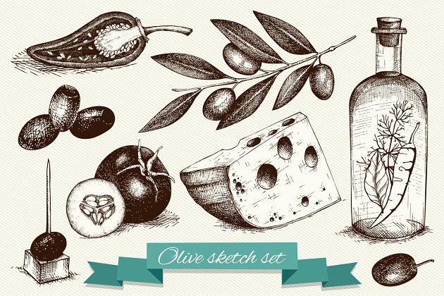 经典橄榄插画素材 Vintage Olive Illustrations Set