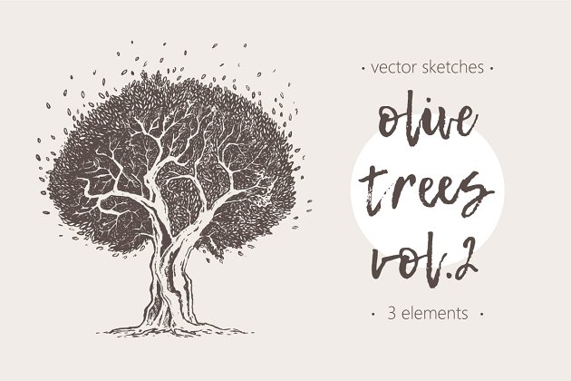 树木素描插画素材 Set of illustrations of olive trees