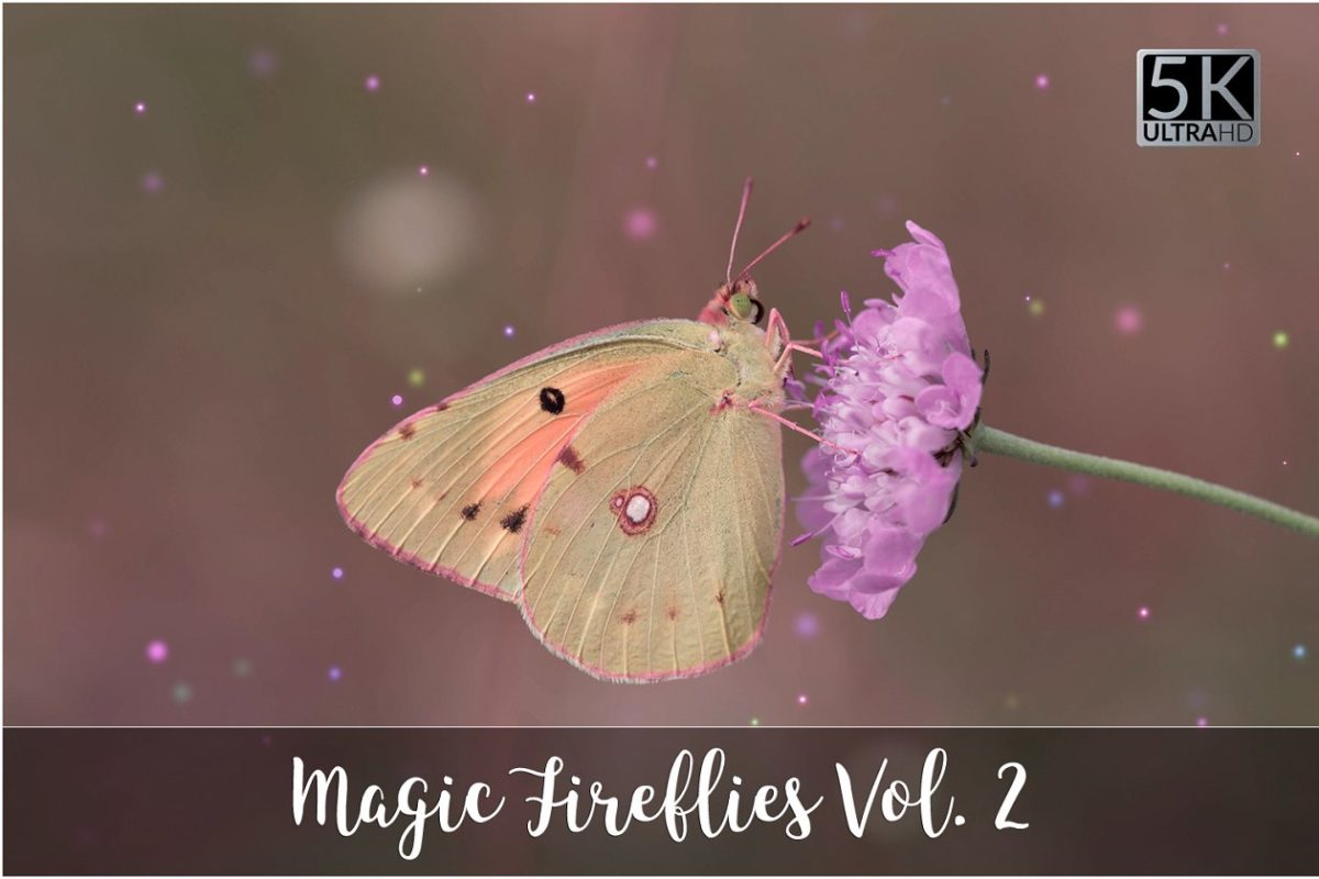 5K梦幻元素 5K Magic Fireflies Overlays Vol. 2