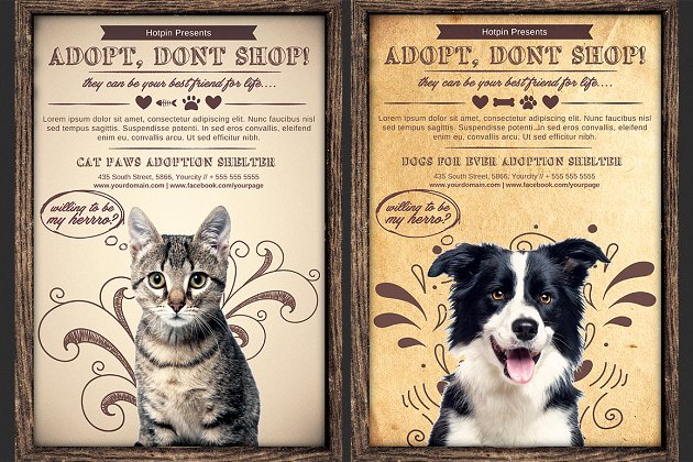 宠物护理海报模版 Pet Adoption Flyer Template