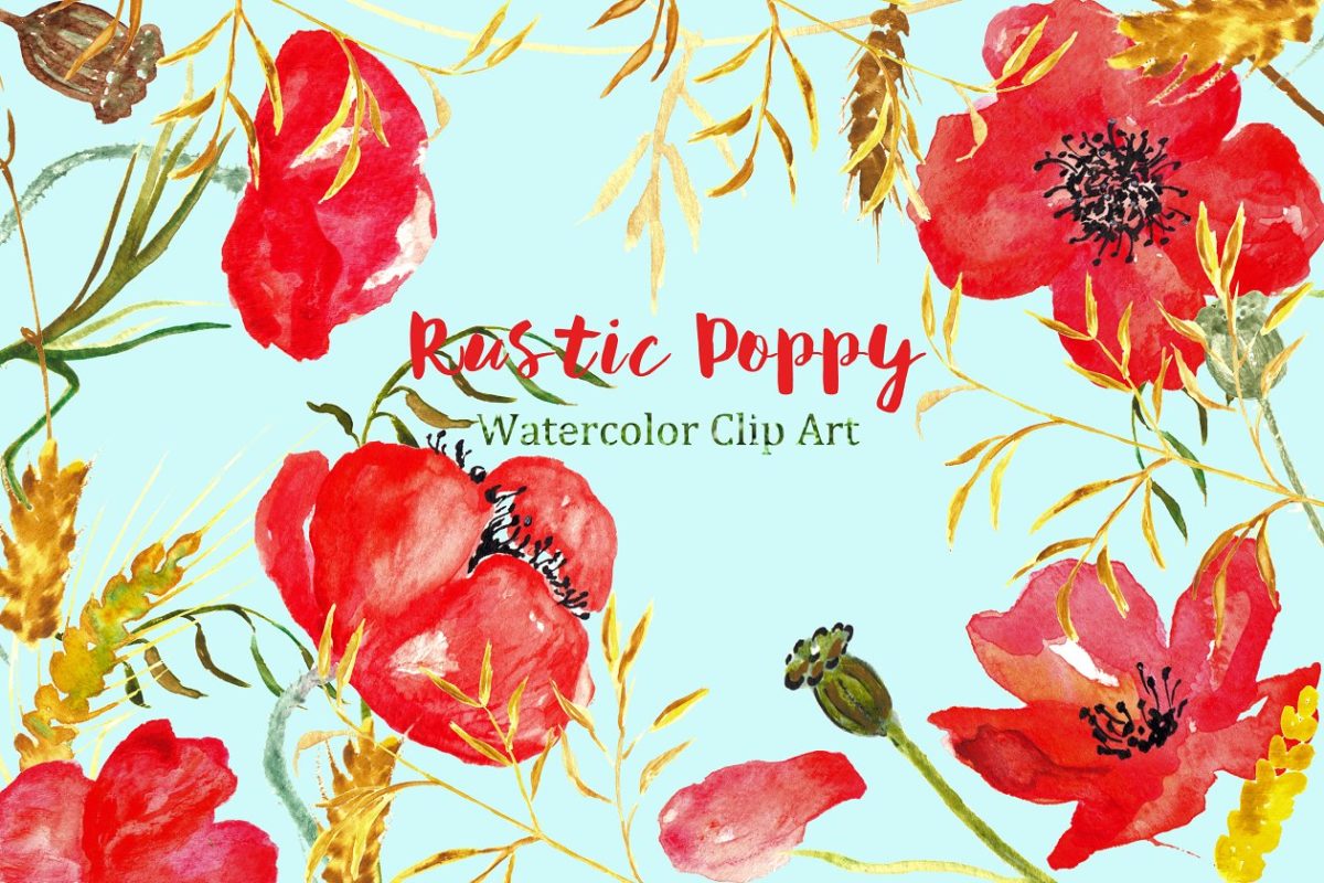 罂粟花水彩剪贴画 Ructic Poppy watercolor Clipart