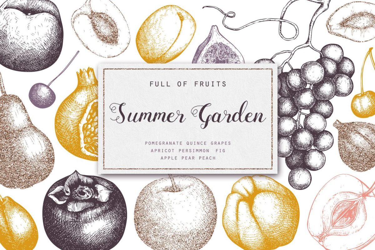 复古葡萄园插画素材合集 Vintage Set of Garden Fruits