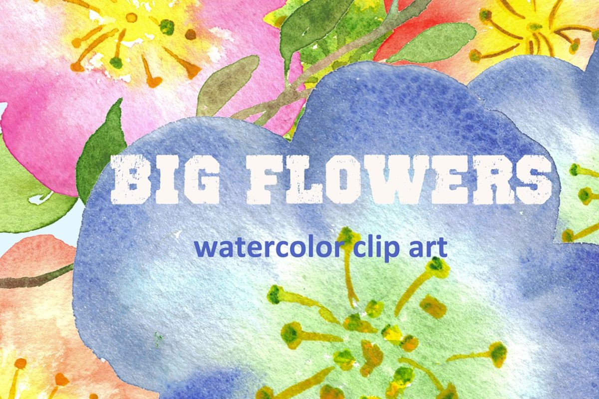 水彩花卉肌理纹理 Big Flowers watercolor clipart