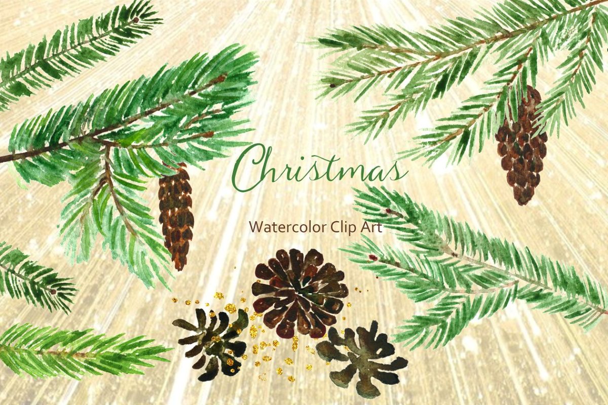 水彩圣诞树logo设计插画 Christmas tree. Watercolor Clipart