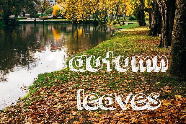 秋天树叶元素照片包 Autumn leaves photo pack