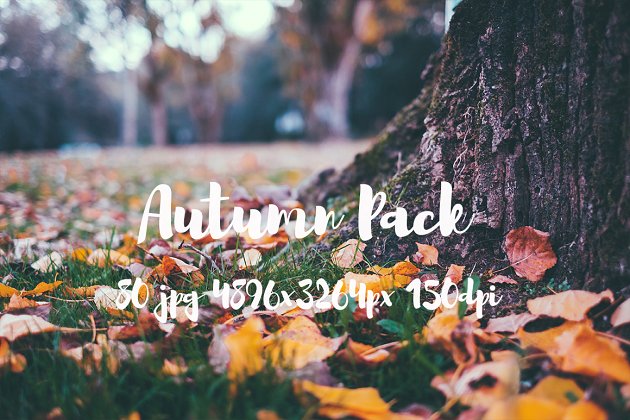 秋天风景照 Autumn photo Pack