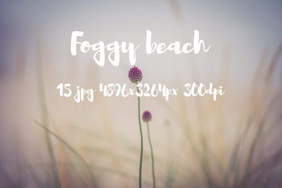 雾蒙蒙的海滩照相馆 Foggy beach photo pack