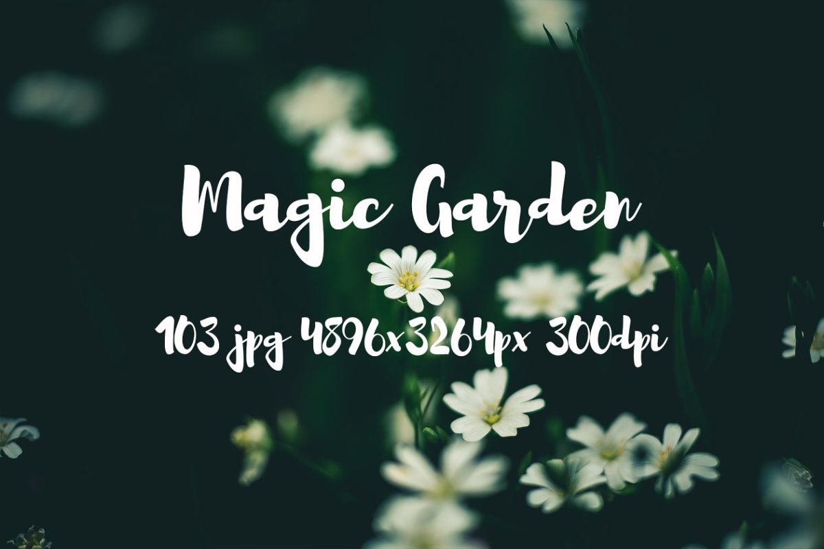 模糊魔幻花卉包 Magic garden pack