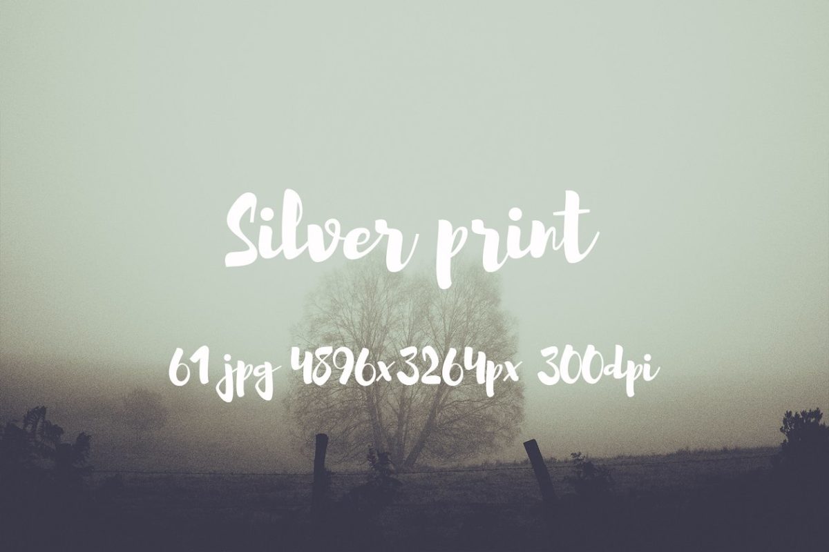 大自然高清照片素材 Silver Print Photo pack