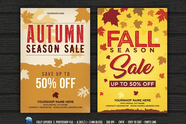 秋季销售传单海报 Fall Autumn Sale Flyer  Poster