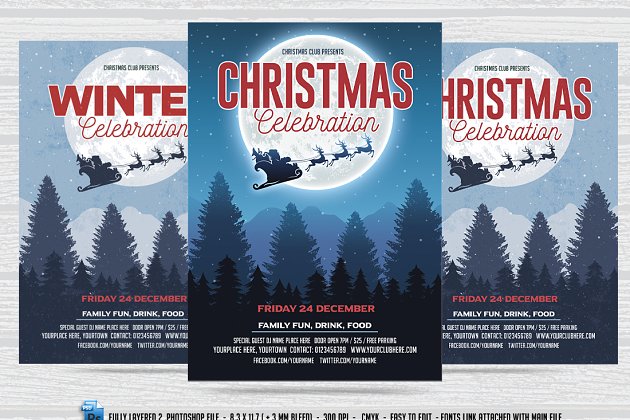 圣诞/冬季庆祝海报设计 Christmas /Winter Celebration Flyer