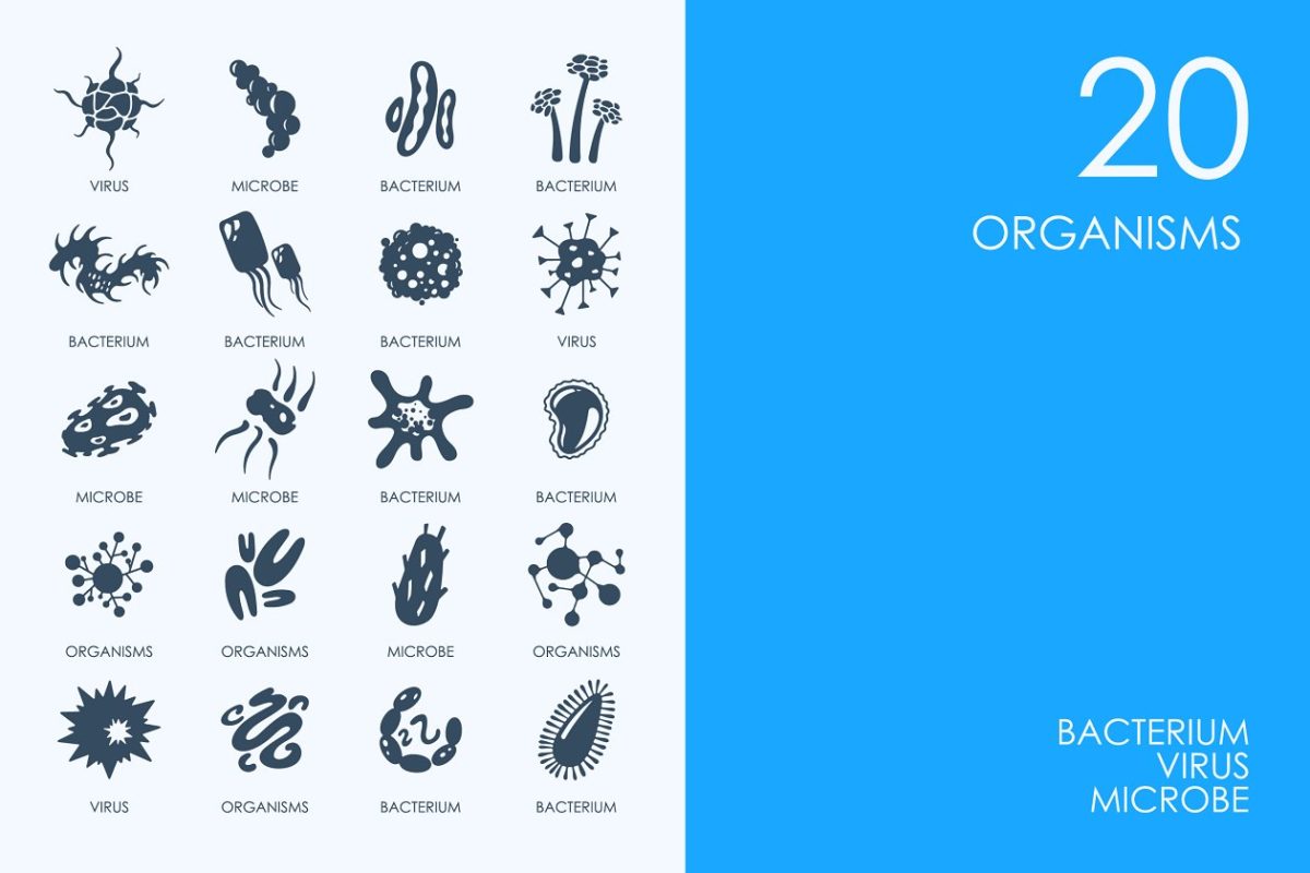 生物细菌图标 Organisms icons