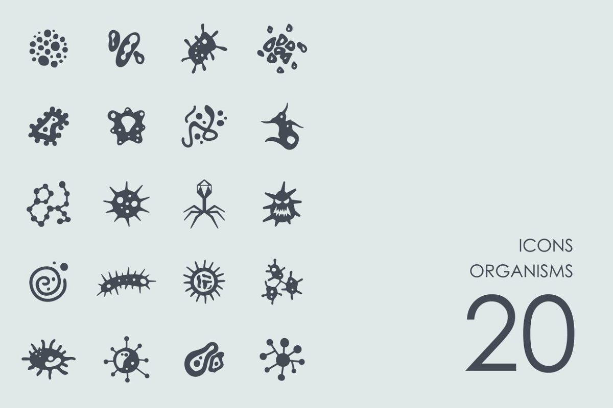 细菌矢量图标 Organisms icons