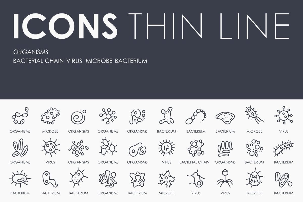 生物细菌矢量图标素材 Organisms thinline icons