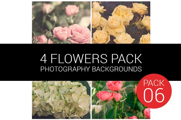 花卉照片包 Flower Pack 06