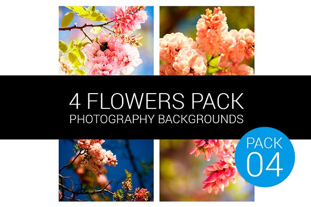 花卉图片素材包4 Flower Pack 04