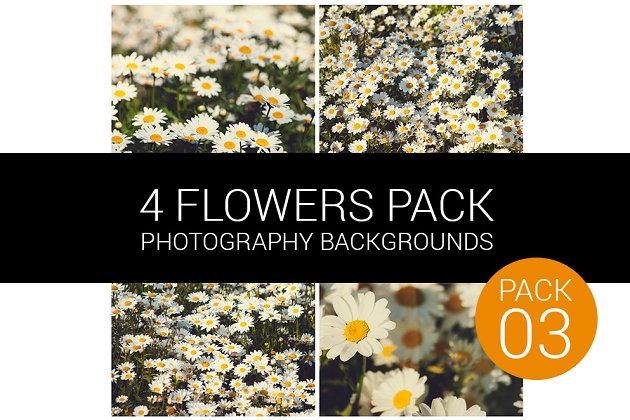 花卉图片素材包 Flower Pack 03