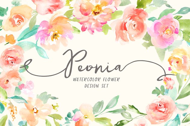 水彩花卉插画素材集 Peonia Watercolor Flowers Set