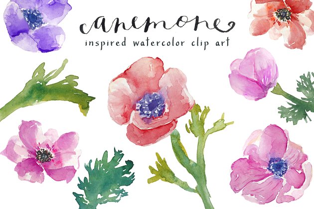 水彩海葵剪贴画 Watercolor Anemones Clip Art
