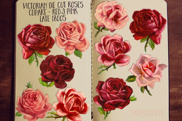 复古水彩玫瑰插画 Pink & Red Rose Clipart Flowers