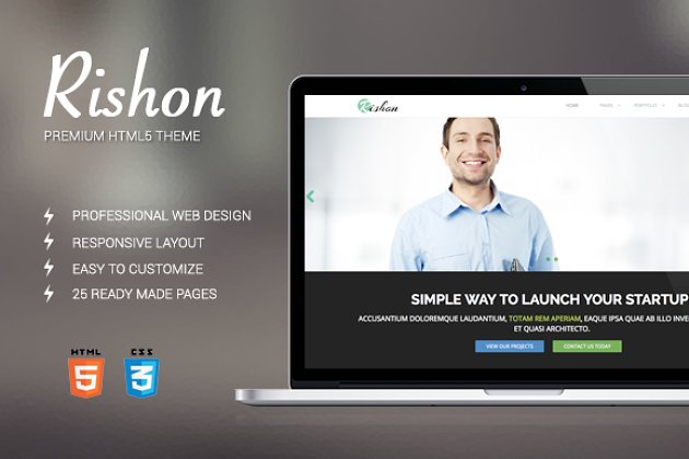 博客主题网站模板 Rishon business bootstrap theme