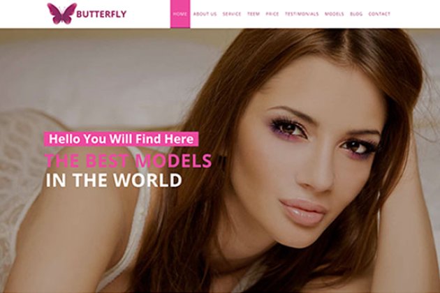 美容网站博客皮肤主题模板 Butterfly – Model Agency Site Theme