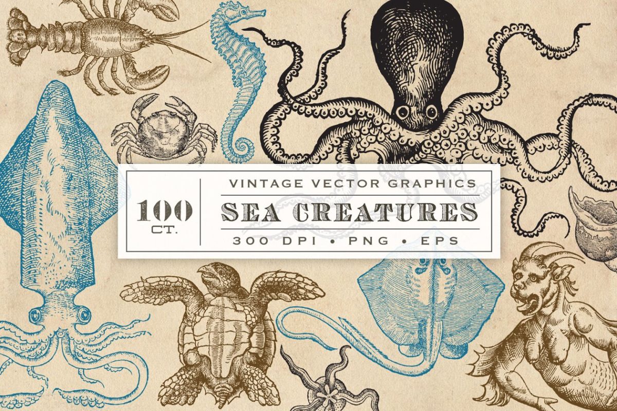 古董海生物和怪物 Antique Sea Creatures & Monsters
