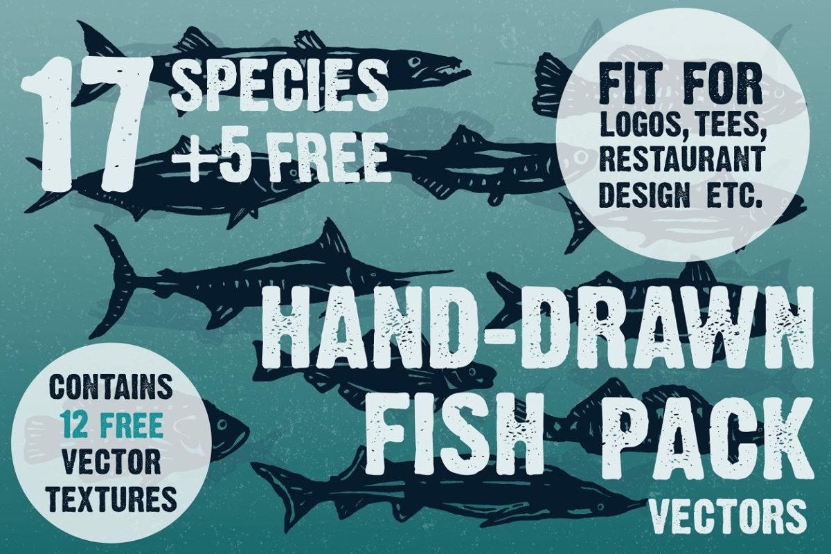 手绘鱼类插画 Hand-drawn fish vectors
