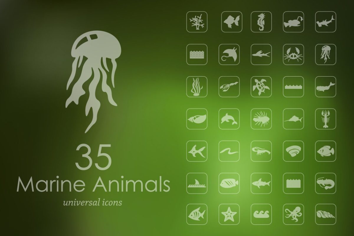 海洋动物图标素材 35 MARINE ANIMALS icons