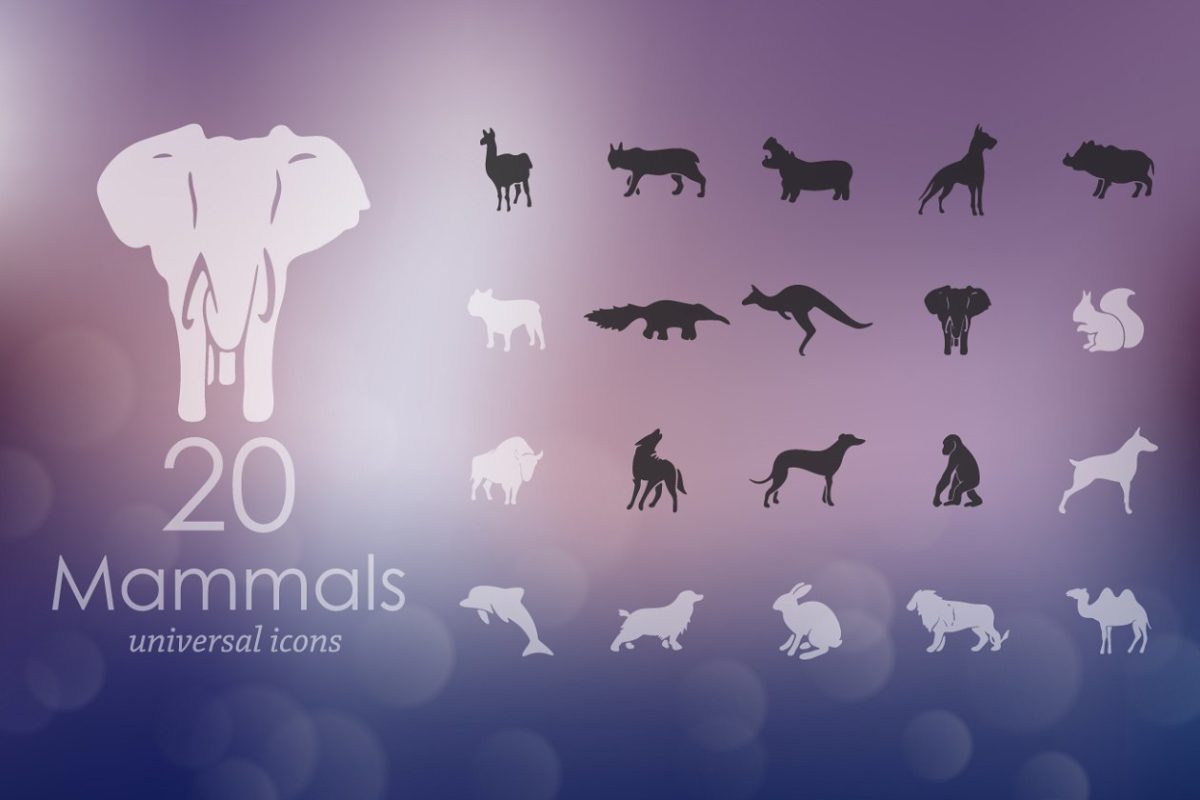 哺乳动物图标素材 20 MAMMALS icons